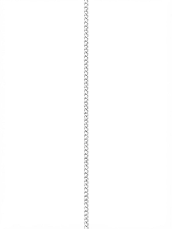 Fine Curb Chain Silver